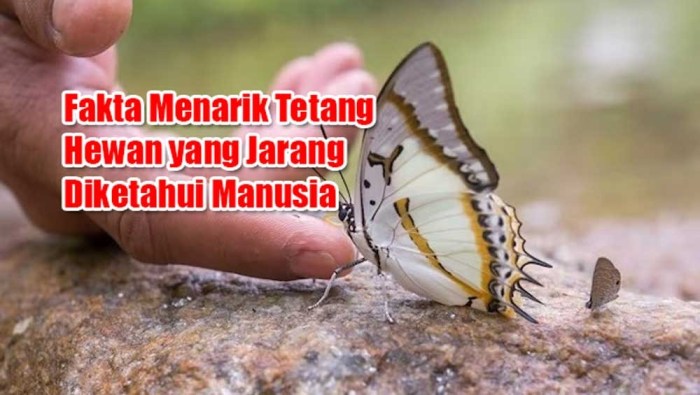 Fakta Menarik Tentang Hewan-Hewan yang Bisa Hidup Tanpa Oksigen