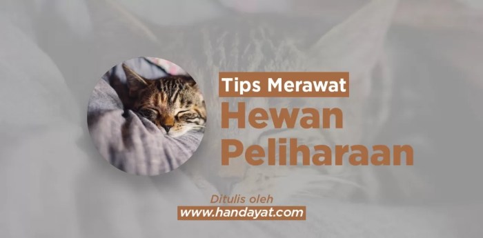 Tips Mengatasi Hewan Peliharaan yang Sulit Diatur