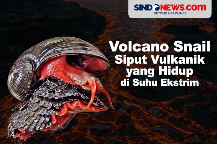 Fakta Tentang Hewan yang Hidup di Kawasan Vulkanik